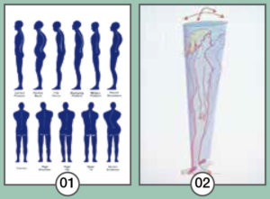 Postura e legame con la percezione