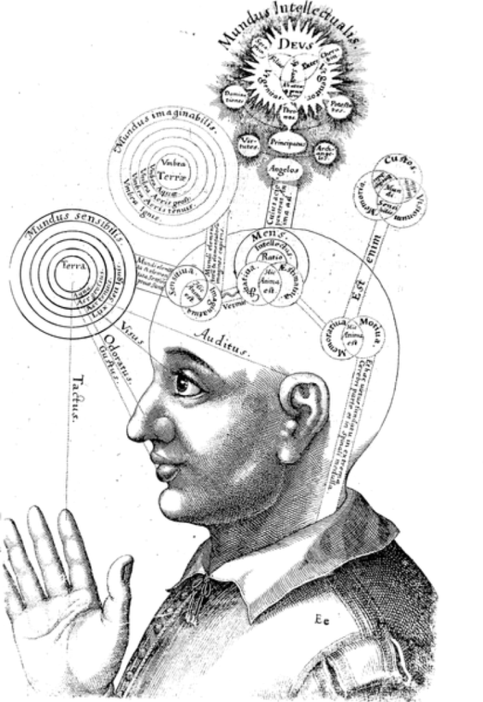 Multidisciplinarità per la cura della dislessia